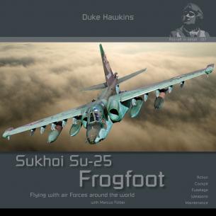 Duke Hawkins 017 - Sukhoi Su-25 Frogfoot